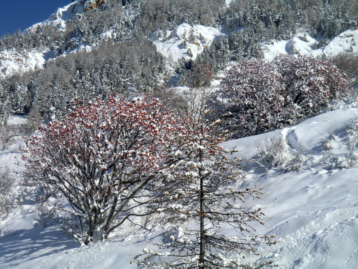 Auberge du Pont de l'Alp Le Monêtier-les-Bains Extérieur photo